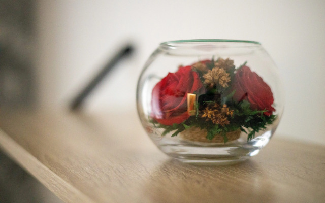 Апартаменты Домино по ул. Лесников 37Б