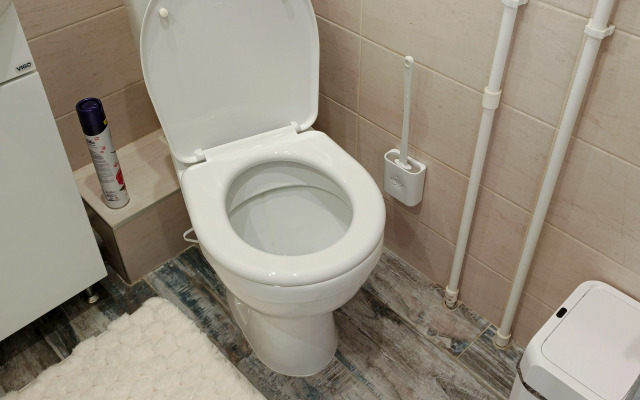 Bestapartpetergof Flat