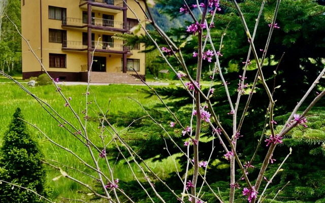 Гостевой дом Березка