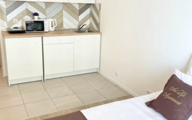 Art Life Apartment Orange Park 1 Apartments