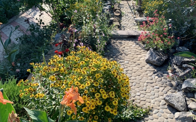 Yolki Guest House