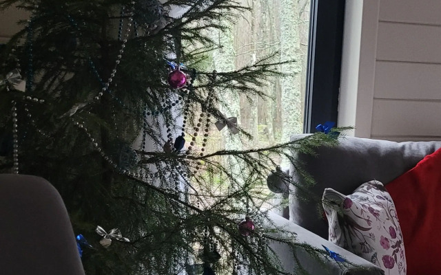 Частный дом Коттедж Аскелма-Ольха