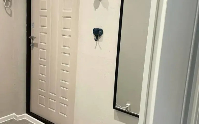 Uyutnaya V Solntsevo Matiss Flat