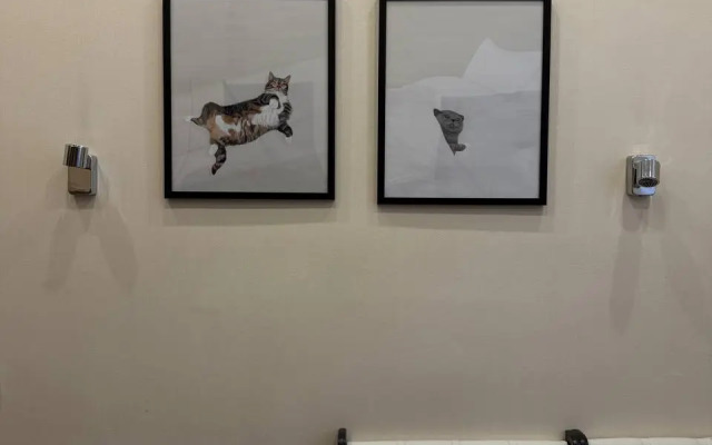 Мини-отель на Макарова