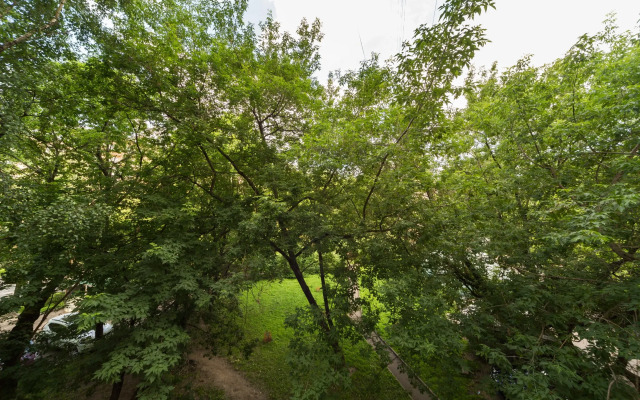 Апартаменты рядом с Динамо