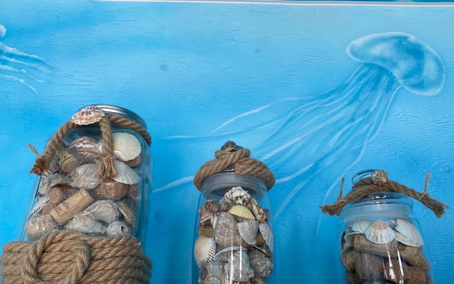 Apartment Seashell 2