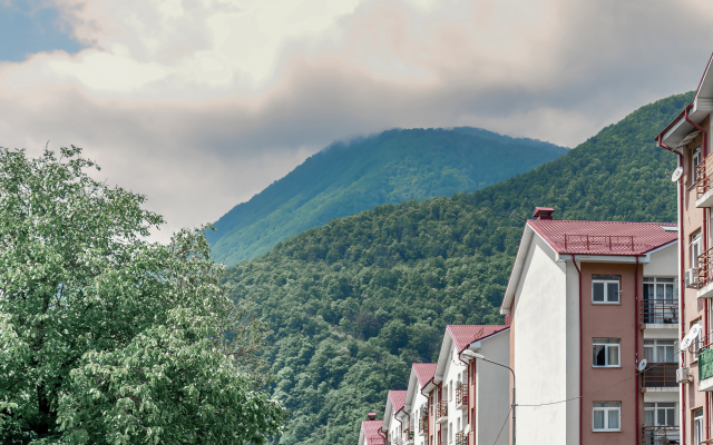 S Vidom Na Gori Apartments