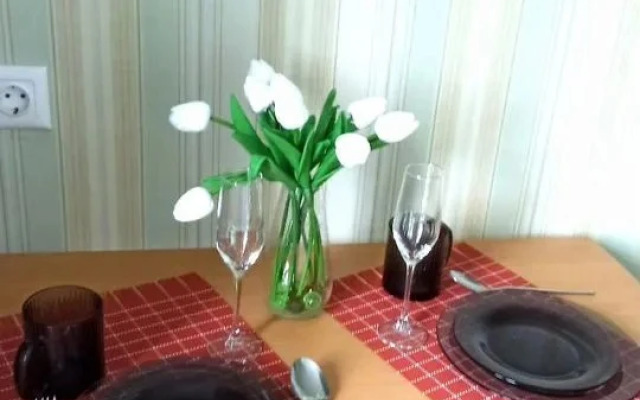 Uyutnaya V Tsentre Goroda Flat