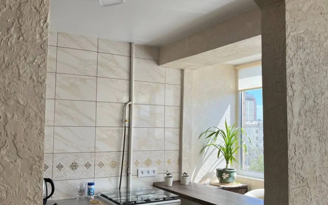 Квартира на Улице Челюскинцев 21