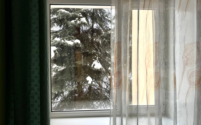 Апартаменты Apart-Comfort на Суркова 6