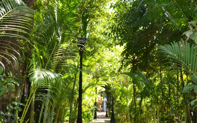 Nature Boutique Residence Villa
