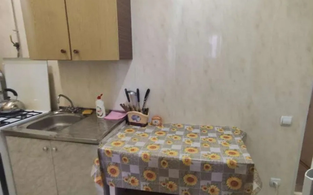 Квартира на улице Ксении Ге 2