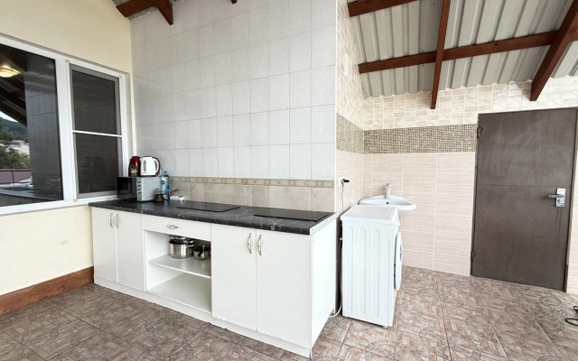 Berezovy Guest house