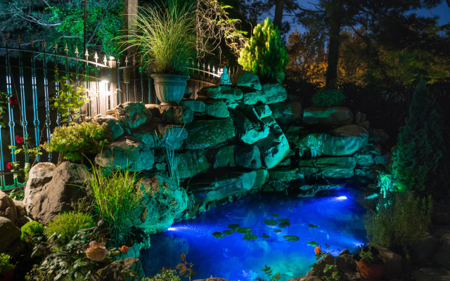 Lotos Guest house