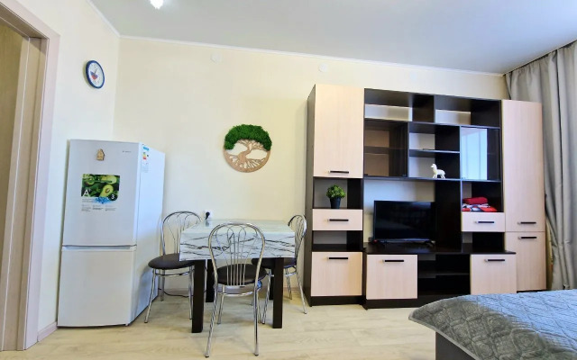 Квартира на Богомягкова 2к3