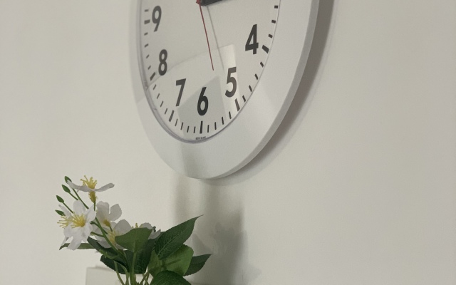 Prekrasnaya Vozle Kristalla Ryadom S Centrom Flat