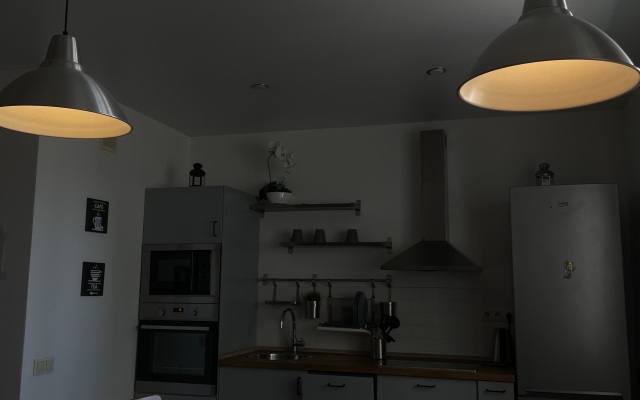 Vidovaya Flat