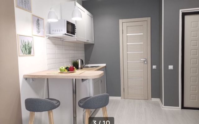 Studiya s balkonom Flat