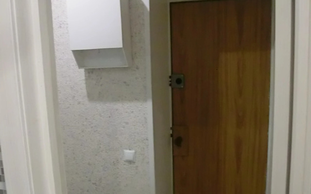 Likhvintseva 46 Flat