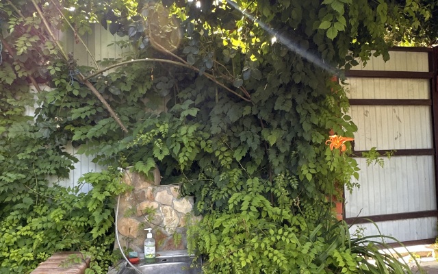 Miriya Guest House
