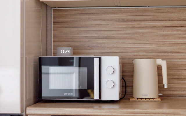 Квартира однокомнатная c видом на озере в центральном парке