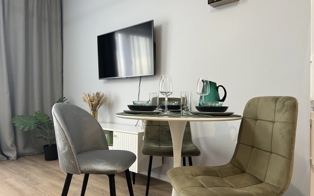 Sovremennaya studya nedaleko ot aeroporta Vnukovo Flat