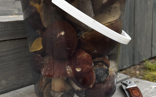 Глэмпинг Гиперборея