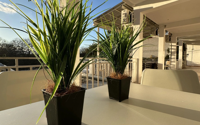 Yelizaveta Guest House