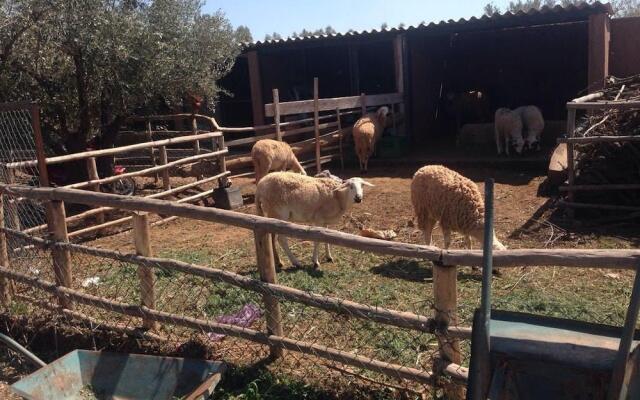 Ferme Sidi Safou Hotel