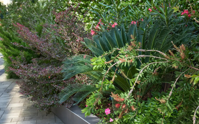 Апартаменты Фестивальный Lamare с Балконом и Видом на Парк Дендрарий