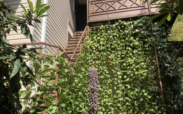 Zhemchuzhina u Morya Guest House