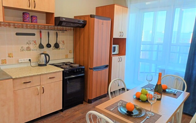 One-room RusDom near the recreation center Rodina Apartments
