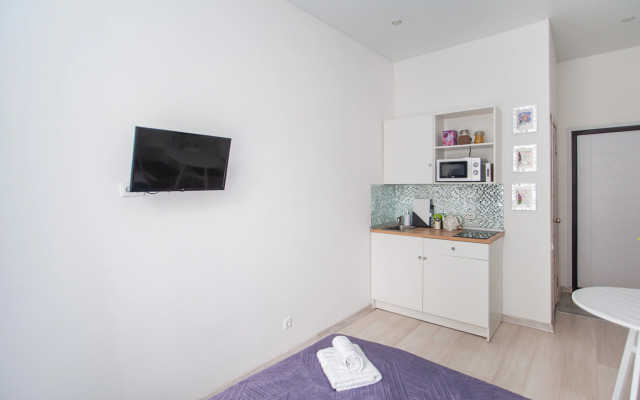 Квартира Студия у Смольного