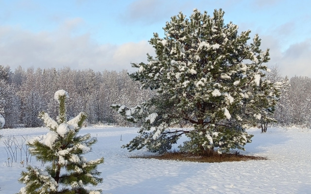 Частный дом Загородный Дыхание