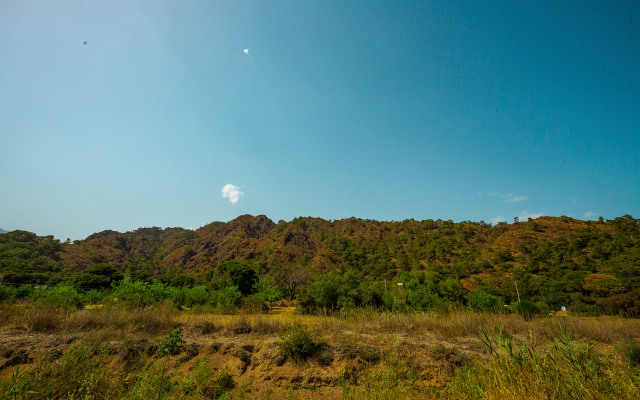 Izgen Bungalows Çıralı Private house