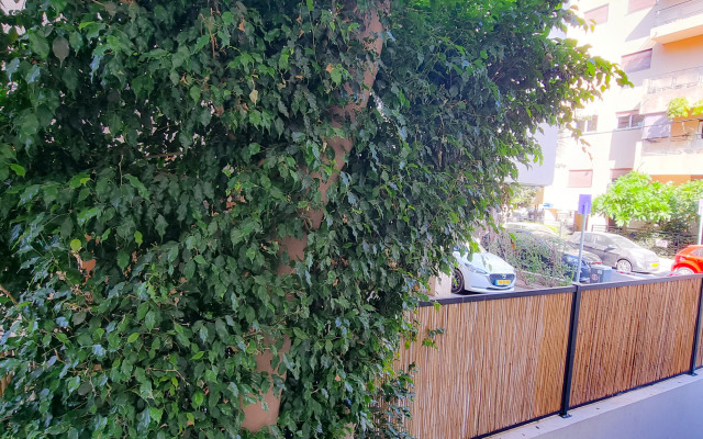 Apt Nacre Apartments