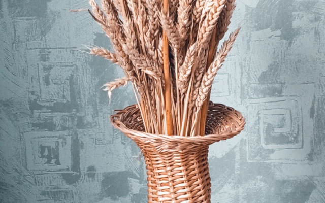 Апартаменты На Луначарского 14 Плес