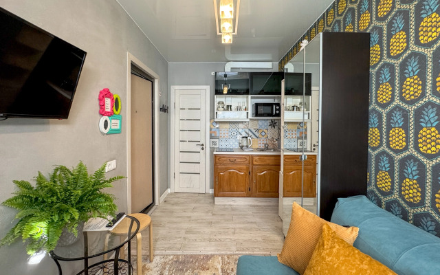 Квартира Студия на Невском 14квм