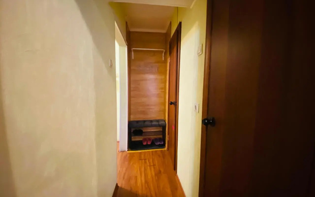 Апартаменты с 2 комнатами и видом на город (Квартира51)