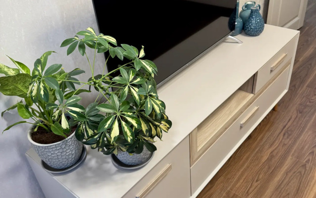 Квартира Уютная квартира с новым ремонтом на ЖД вокзале Владивостока