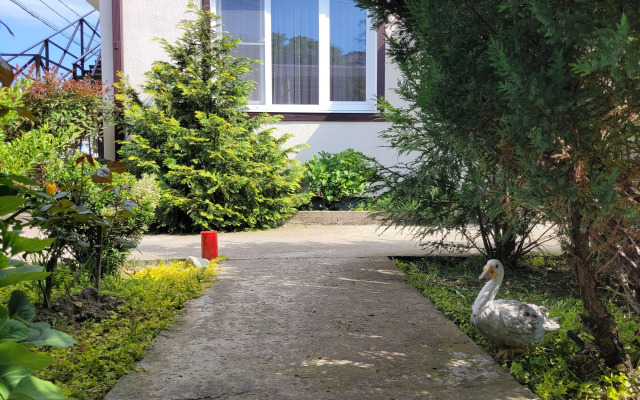 Voyazh Guest House