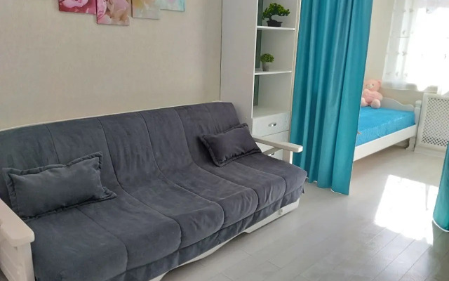 S Vidom Na Stadion Flat