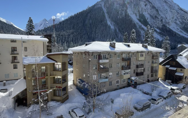 Апартаменты 3х комнатная на Пихтовом