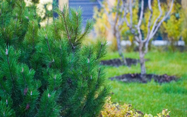 Апартаменты Monty Moscow рядом с Ботаническим садом