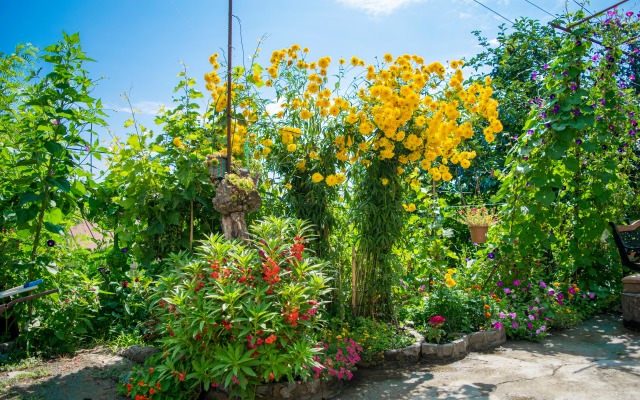 Отель 4 Rooms Boutique