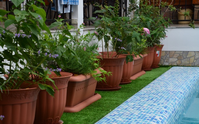 Elizaveta Guest House