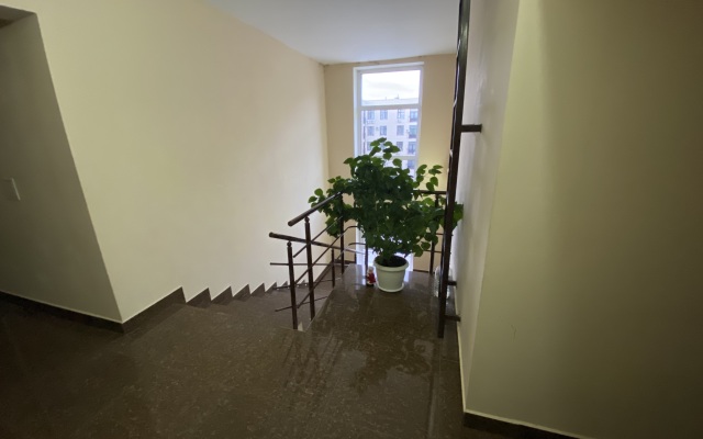 Chernyishevskogo 16 Apartments