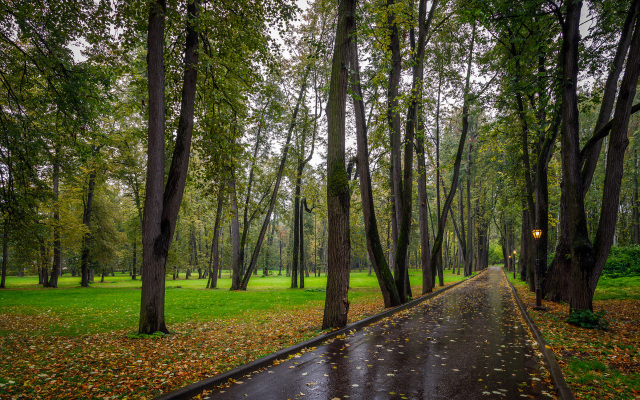 Volynskoye Congress Park