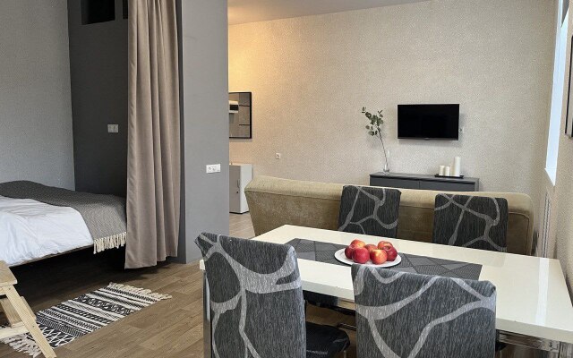 Апартаменты Студия у Кинотеатра Спартак