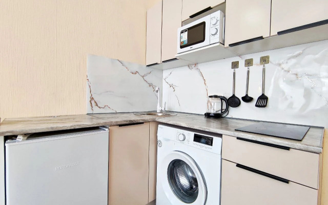 Studiya V Kurortnom Flat